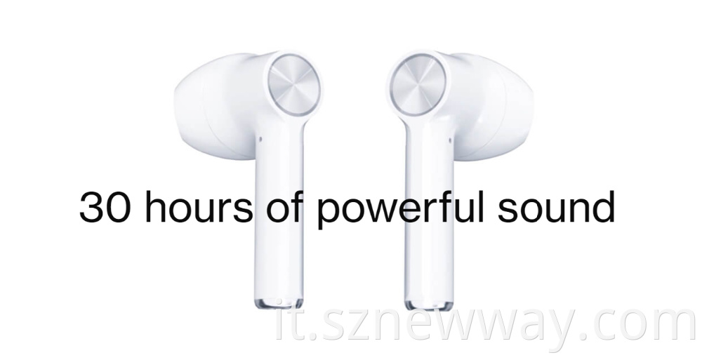 Oneplus Earphone